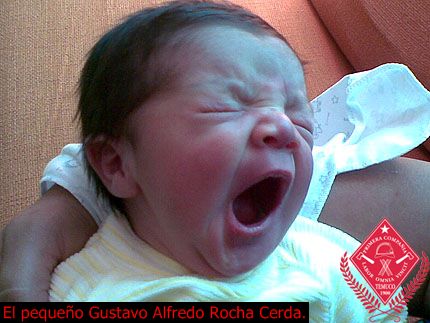 Nuevo integrante a la familia primerina