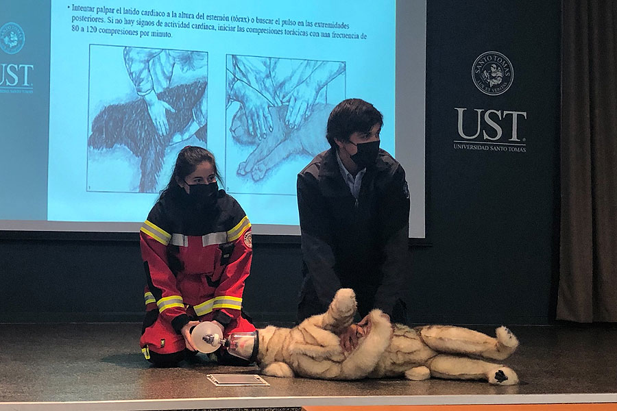 Universidad Santo Tomás Temuco capacitó a Bomberos en abordaje de mascotas en emergencias