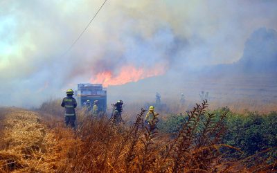 El Cuerpo de Bomberos de Temuco conformará una Fuerza de Tarea para combatir los grandes incendios forestales